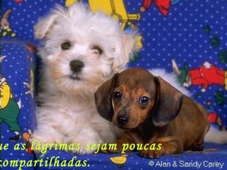 Que as lágrimas sejam poucas e compartilhadas. 