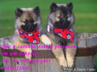 Que o carinho esteja presente  em um simples olá, ou em qualquer  outra frase... 