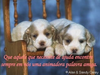 Que aquele que necessite de ajuda encontre sempre em nós uma animadora palavra amiga. 