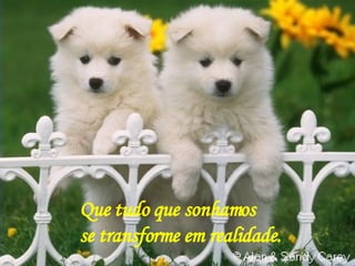 Que tudo que sonhamos se transforme em realidade. 