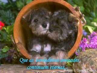 Que as  verdadeiras amizades continuem eternas... 