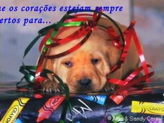 Que os corações estejam sempre abertos para... 