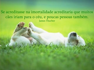 Se acreditasse na imortalidade acreditaria que muitos cães iriam para o céu, e poucas pessoas também. James Thurber 