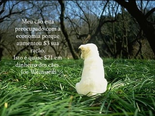 Meu cão está preocupado com a economia porque aumentou $3 sua ração. Isto é quase $21 em dinheiro dos cães. Joe Weinstein 