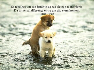 Se recolhes um cão faminto da rua ele não te morderá;  É a principal diferença entre um cão e um homem. Mark Twain 