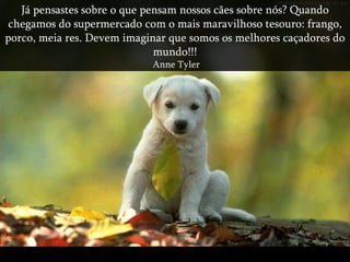 Já pensastes sobre o que pensam nossos cães sobre nós? Quando chegamos do supermercado com o mais maravilhoso tesouro: frango, porco, meia res. Devem imaginar que somos os melhores caçadores do mundo!!! Anne Tyler 