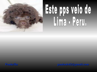 Este pps veio de Lima - Peru. Paulo/fln  [email_address] 