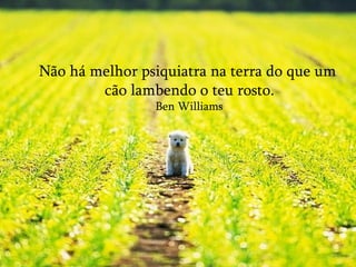 Não há melhor psiquiatra na terra do que um cão lambendo o teu rosto. Ben Williams 
