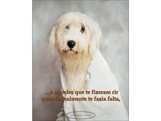 … à aqueles que te fizeram rir quando realmente te fazia falta, 