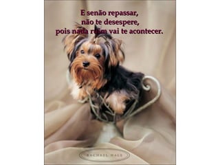 E senão repassar,  não te desespere, pois nada ruim vai te acontecer.  