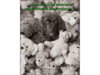 ...mas por aqueles momentos que te deixarm sem respiração.” 