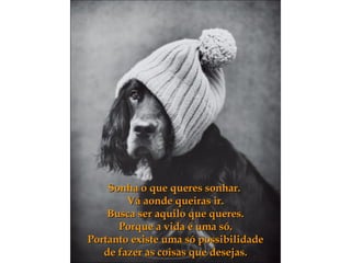 Sonha o que queres sonhar.  Vá aonde queiras ir. Busca ser aquilo que queres. Porque a vida é uma só. Portanto existe uma só possibilidade de fazer as coisas que desejas. 