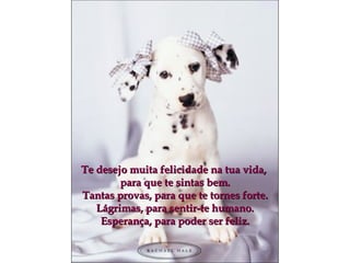 Te desejo muita felicidade na tua vida,  para que te sintas bem. Tantas provas, para que te tornes forte. Lágrimas, para sentir-te humano. Esperança, para poder ser feliz. 