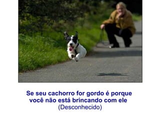 Se seu cachorro for gordo é porque  você não está brincando com ele   (Desconhecido) 