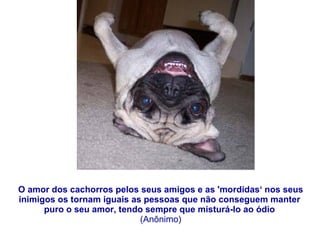 O amor dos cachorros pelos seus amigos e as 'mordidas‘ nos seus inimigos os tornam iguais as pessoas que não conseguem manter  puro o seu amor, tendo sempre que misturá-lo ao ódio  (Anônimo) 