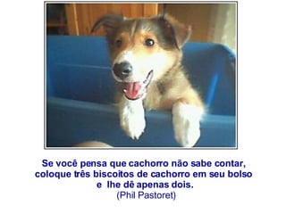 Se você pensa que cachorro não sabe contar,   coloque três biscoitos de cachorro em seu bolso   e  lhe dê apenas dois.  (Phil Pastoret) 