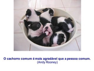 O cachorro comum é mais agradável que a pessoa comum.  (Andy Rooney) 