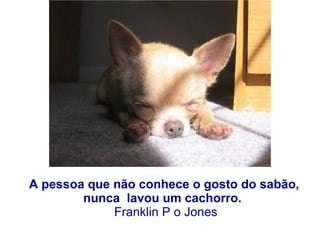 A pessoa que não conhece o gosto do sabão,  nunca  lavou um cachorro.    Franklin P o Jones 