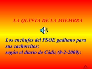 / @ @) -------o00-(_)-00o------- Los enchufes del PSOE gaditano para sus cachorritos: según el diario de Cádiz (8-2-2009): LA QUINTA DE LA MIEMBRA   