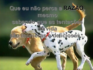 Que eu não perca a RAZÃO,
         mesmo
 sabendo que as tentações
         da vida
são inúmeras e deliciosas...
 