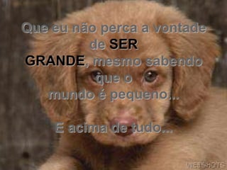 Que eu não perca a vontade
         de SER
GRANDE, mesmo sabendo
          que o
   mundo é pequeno...

    E acima de tudo...
 