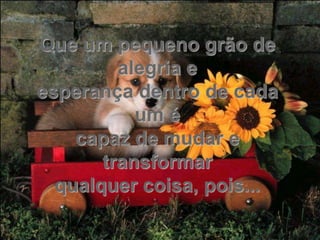 Que um pequeno grão de
         alegria e
esperança dentro de cada
           um é
    capaz de mudar e
       transformar
  qualquer coisa, pois...
 