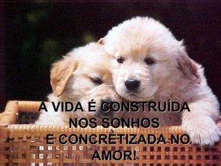 A VIDA É CONSTRUÍDA
    NOS SONHOS
 E CONCRETIZADA NO
       AMOR!
 
