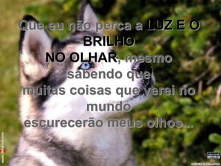 Que eu não perca a LUZ E O
         BRILHO
    NO OLHAR, mesmo
       sabendo que
muitas coisas que verei no
          mundo
 escurecerão meus olhos...
 