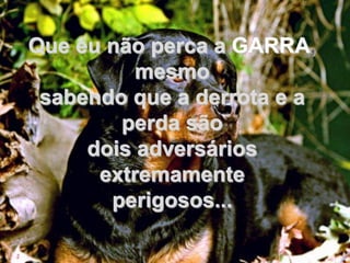 Que eu não perca a GARRA,
          mesmo
 sabendo que a derrota e a
        perda são
     dois adversários
      extremamente
       perigosos...
 