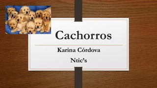 Cachorros
Karina Córdova
Ntic’s
 