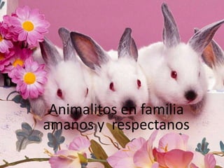 Animalitos en familia
amanos y respectanos
 