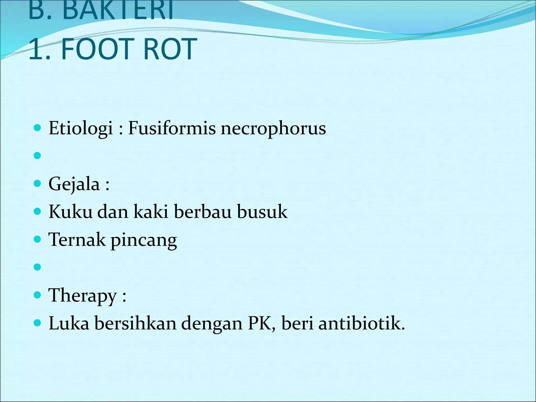 B. BAKTERI
1. FOOT ROT
 Etiologi : Fusiformis necrophorus

 Gejala :
 Kuku dan kaki berbau busuk
 Ternak pincang

 Therapy :
 Luka bersihkan dengan PK, beri antibiotik.
 