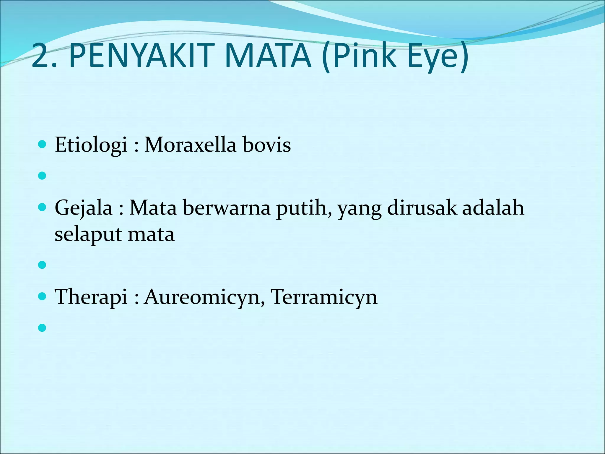 2. PENYAKIT MATA (Pink Eye)
 Etiologi : Moraxella bovis

 Gejala : Mata berwarna putih, yang dirusak adalah
selaput mata

 Therapi : Aureomicyn, Terramicyn

 