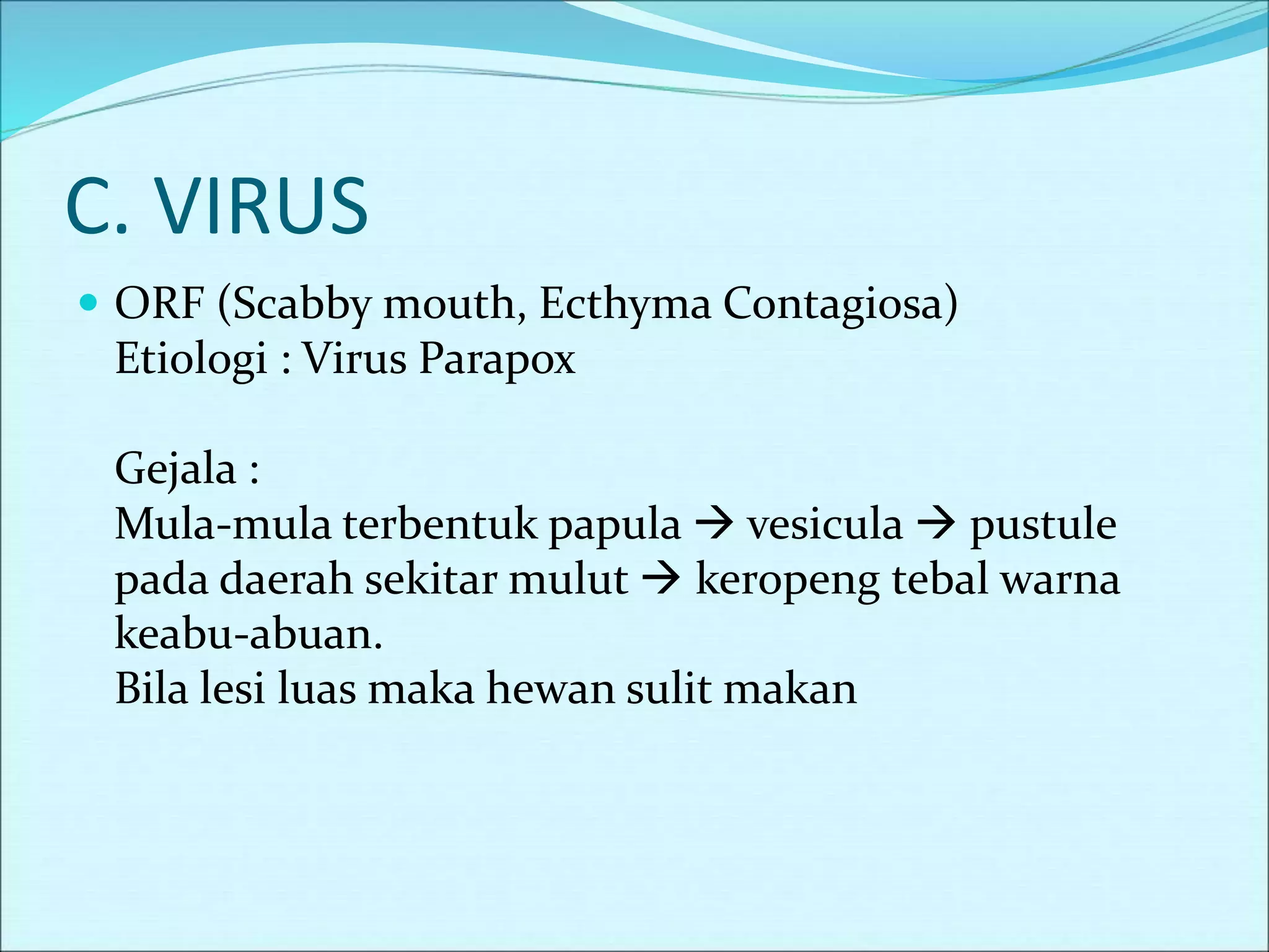 C. VIRUS
 ORF (Scabby mouth, Ecthyma Contagiosa)
Etiologi : Virus Parapox
Gejala :
Mula-mula terbentuk papula  vesicula  pustule
pada daerah sekitar mulut  keropeng tebal warna
keabu-abuan.
Bila lesi luas maka hewan sulit makan
 