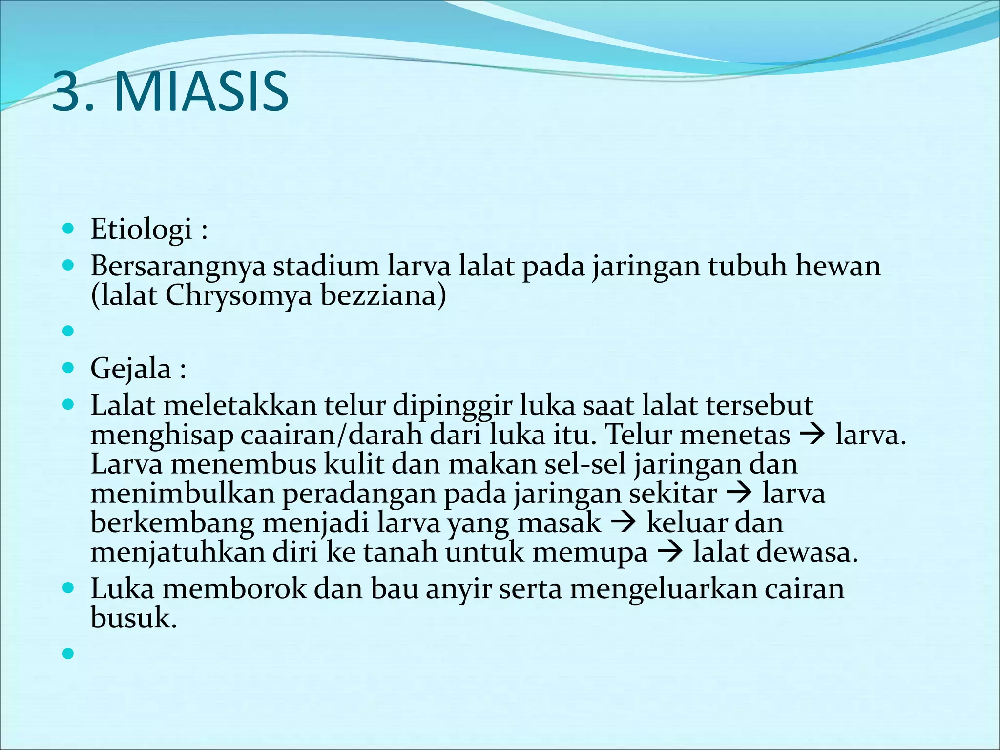 3. MIASIS
 Etiologi :
 Bersarangnya stadium larva lalat pada jaringan tubuh hewan
(lalat Chrysomya bezziana)

 Gejala :
 Lalat meletakkan telur dipinggir luka saat lalat tersebut
menghisap caairan/darah dari luka itu. Telur menetas  larva.
Larva menembus kulit dan makan sel-sel jaringan dan
menimbulkan peradangan pada jaringan sekitar  larva
berkembang menjadi larva yang masak  keluar dan
menjatuhkan diri ke tanah untuk memupa  lalat dewasa.
 Luka memborok dan bau anyir serta mengeluarkan cairan
busuk.

 