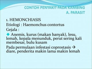 1. HEMONCHIASIS
Etiologi : Haemonchus contortus
Gejala :
 Anemis, kurus (makan banyak), lesu,
lemah, kepala menunduk, perut sering kali
membesar, bulu kusam
Pada permulaan infestasi coprostasis 
diare, penderita makin lama makin lemah
 