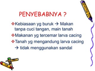 PENYEBABNYA ?
Kebiasaan yg buruk  Makan
tanpa cuci tangan, main tanah
Makanan yg tercemar larva cacing
Tanah yg mengandung larva cacing
 tidak menggunakan sandal
 