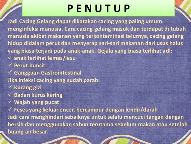 Cacing Gelang