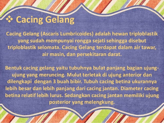 87 Gambar Penyakit Cacing Gelang Terbaik 87 Gambar Penyakit Cacing Gelang Terbaik