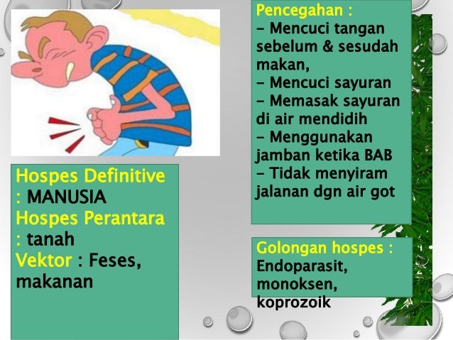 Cacing nematoda