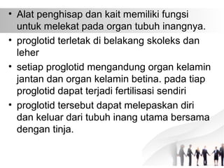 • Alat penghisap dan kait memiliki fungsi
untuk melekat pada organ tubuh inangnya.
• proglotid terletak di belakang skoleks dan
leher
• setiap proglotid mengandung organ kelamin
jantan dan organ kelamin betina. pada tiap
proglotid dapat terjadi fertilisasi sendiri
• proglotid tersebut dapat melepaskan diri
dan keluar dari tubuh inang utama bersama
dengan tinja.
 