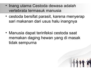 • Inang utama Cestoda dewasa adalah
vertebrata termasuk manusia
• cestoda bersifat parasit, karena menyerap
sari makanan dari usus halu inangnya
• Manusia dapat terinfeksi cestoda saat
memakan daging hewan yang di masak
tidak sempurna
 