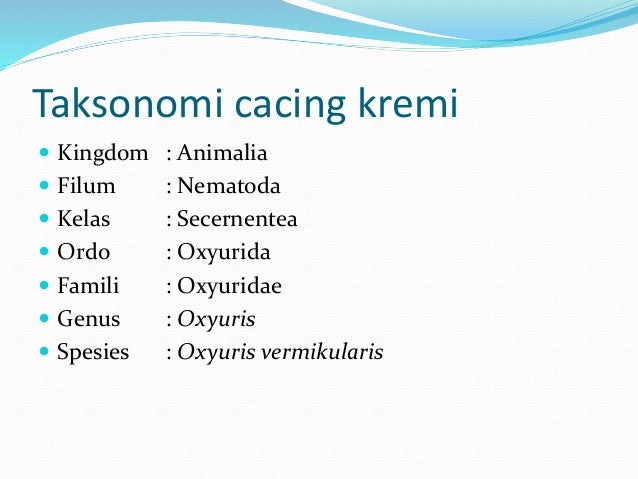 Cacing vermes biologi Cacing vermes biologi