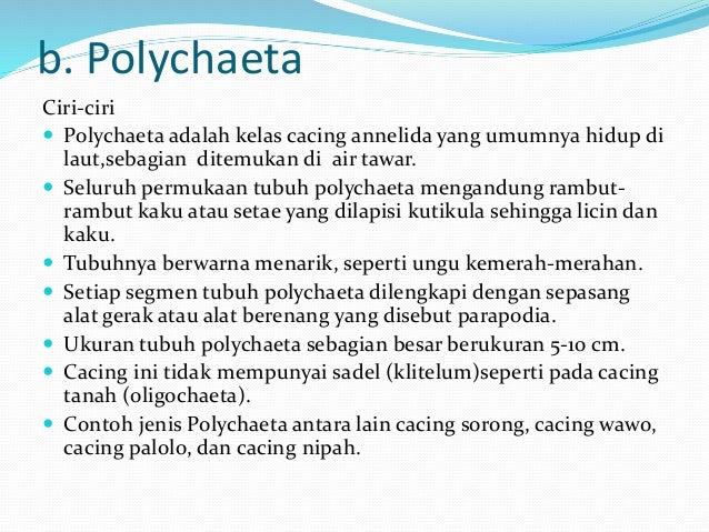 Cacing vermes biologi Cacing vermes biologi