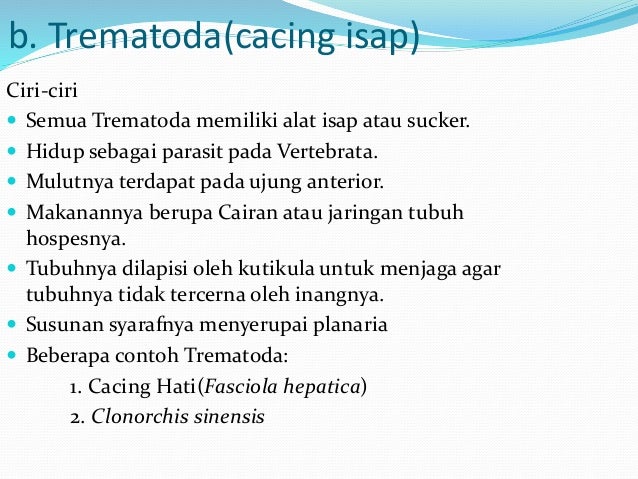 Cacing vermes biologi Cacing vermes biologi