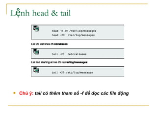 L nh head & tailệ
 Chú ý: tail có thêm tham số -f để đọc các file động
 