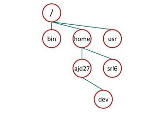 /binhomeusrajd27srl6dev