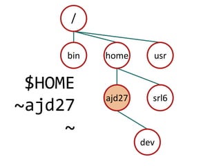 /binhomeusr$HOME~ajd27~ajd27srl6dev