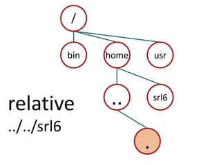 /binhomeusr..srl6relative../../srl6.