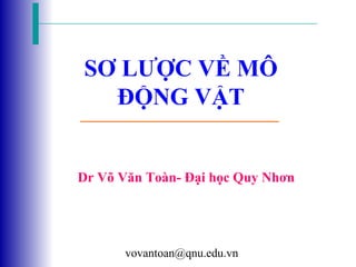 vovantoan@qnu.edu.vn
SƠ LƯỢC VỀ MÔ
ĐỘNG VẬT
Dr Võ Văn Toàn- Đại học Quy Nhơn
 